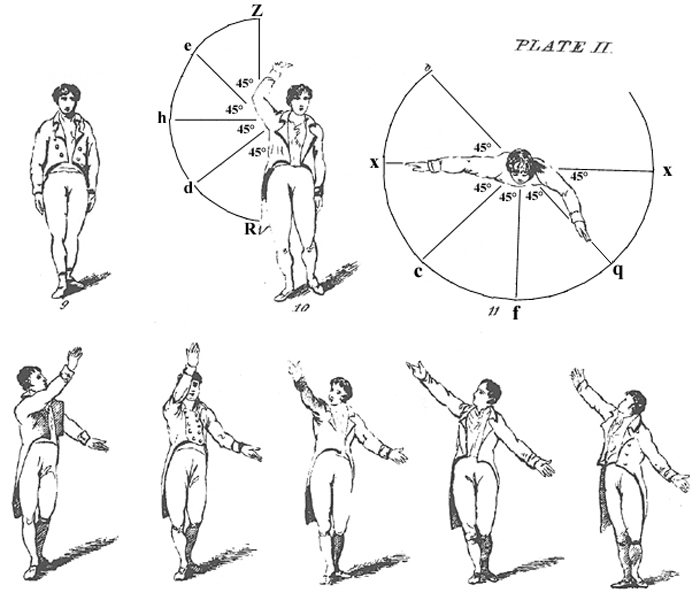 Plate II Fig. 10+ Fig. 11